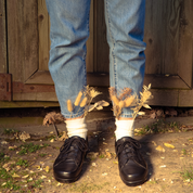 Chaussure à lacets Femme Dalia Noir